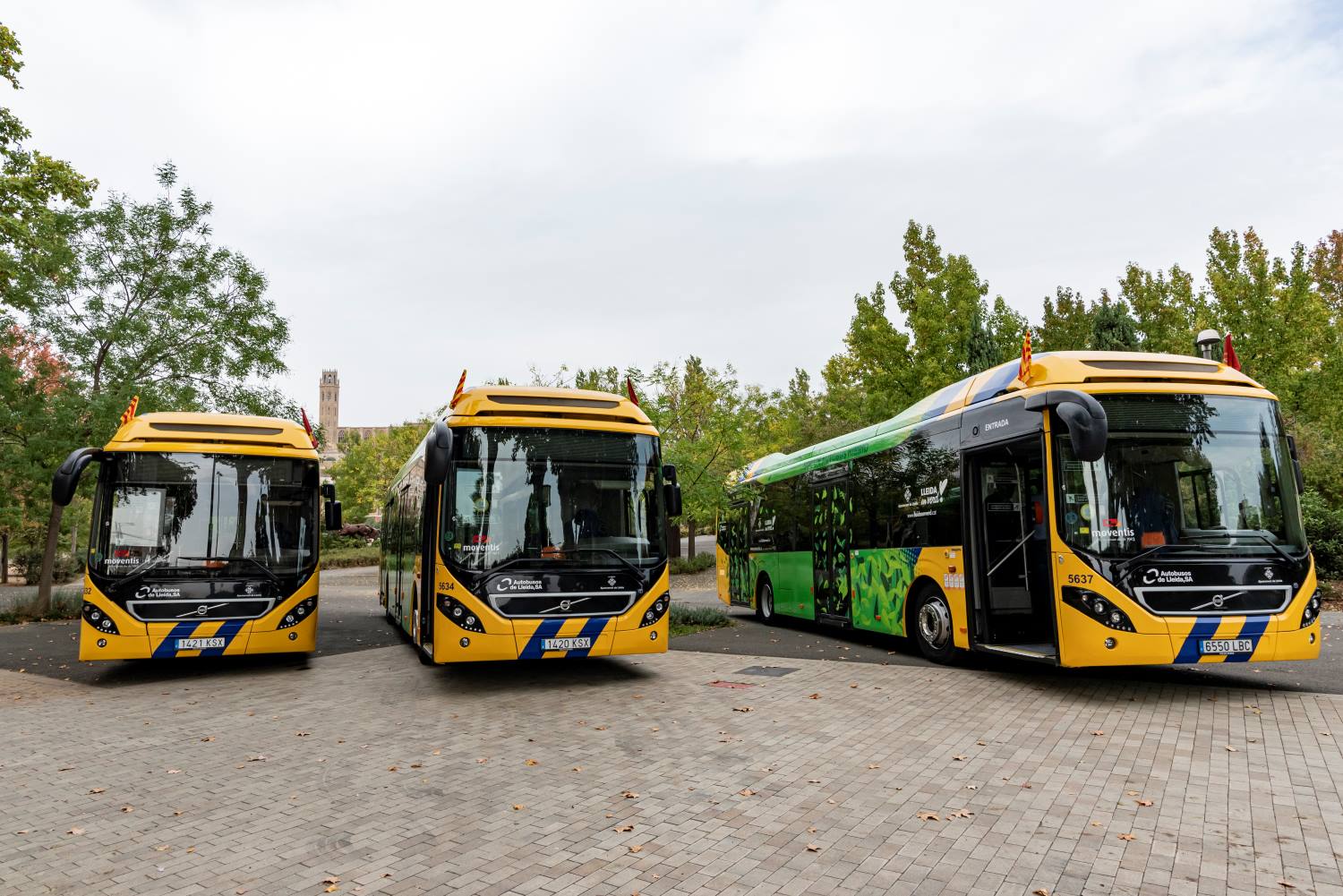 Autobusos Lleida > Moventis