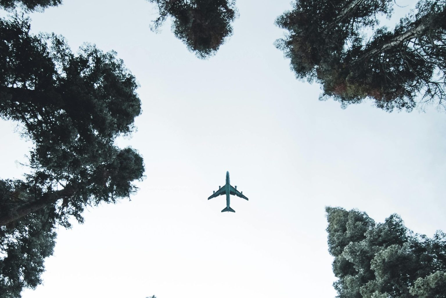 © Sam Willis. Pexels