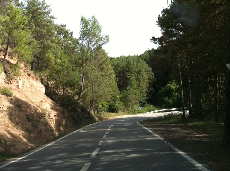 Carretera Sonora