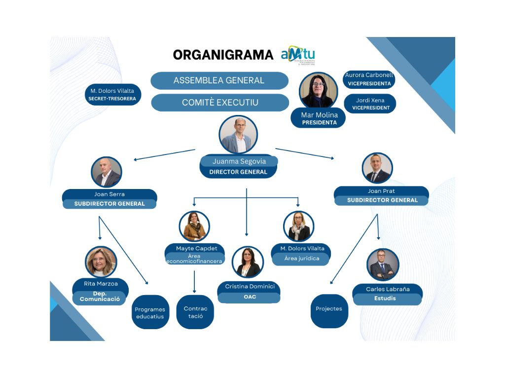 Organigrama AMTU 2025